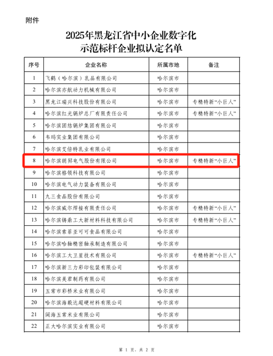 省级中小型企业数字化标杆