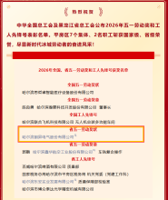 喜报-朗昇电气荣获2026年黑龙江省五一劳动奖状