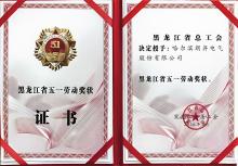 朗昇电气荣获2026年黑龙江省五一劳动奖状